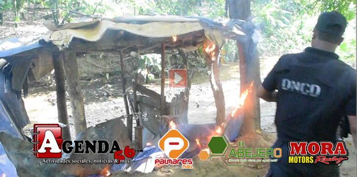 DNCD-EN-SECTORES-DE-SFM