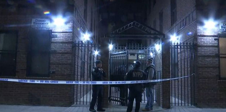 EDIFICIO-NIÑA-BRONX