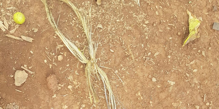 AHORCADO-NIÑO-CEVICOS