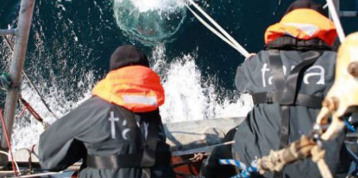 cientificos-identifican