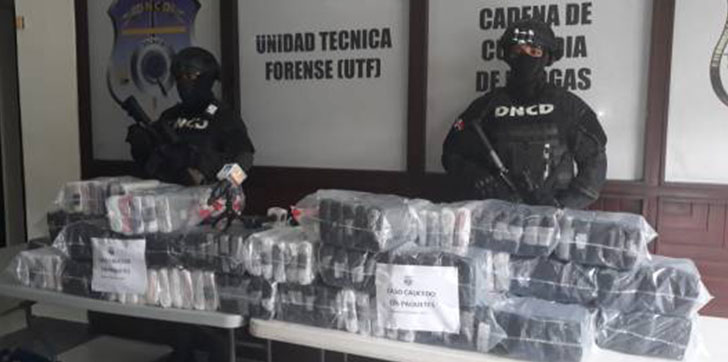 Decomisan-226-paquetes