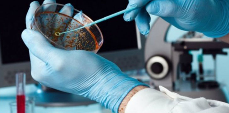 investigadores-moleculas