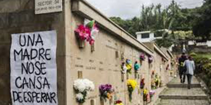 reportan-110-homicidios