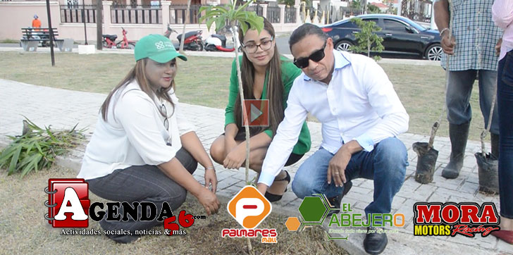 DIA-MEDIOAMBIENTE