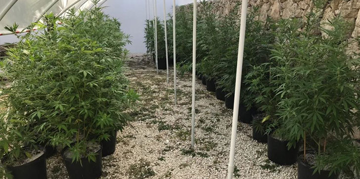 Autoridades-desmantelan