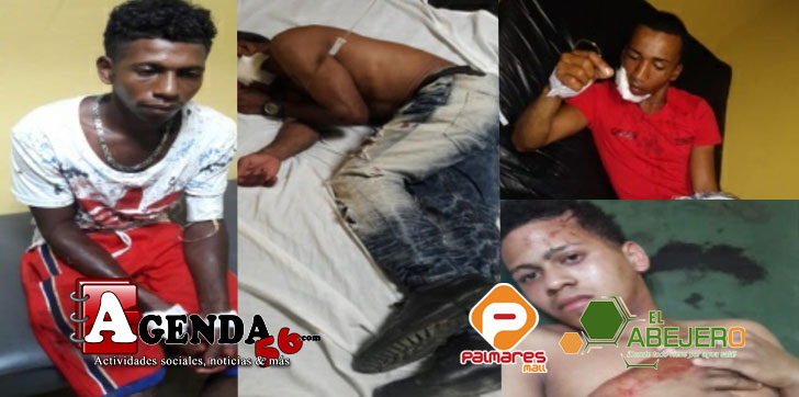 HERIDOS-COLMADO-TENARES