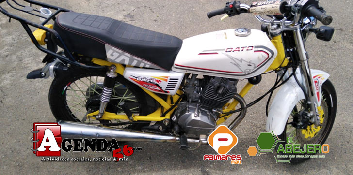 MOTOR-RECUPERADO-SFM