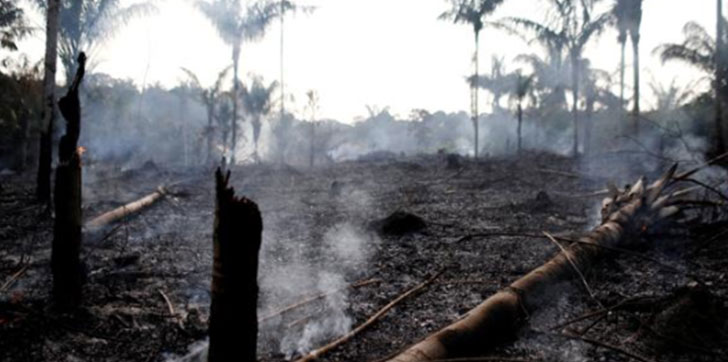 AL-amazonas-en-estado-de-emergencia