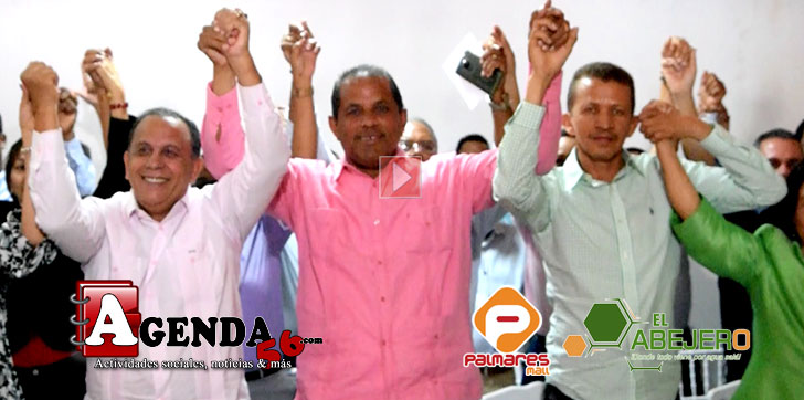 PLD-ANUNCIA-LEONEL