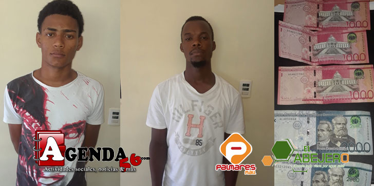 ROBO-DINERO-CASTILLO