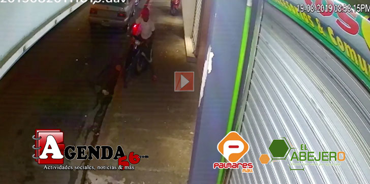 ROBO-PASOLA-FARMACIA