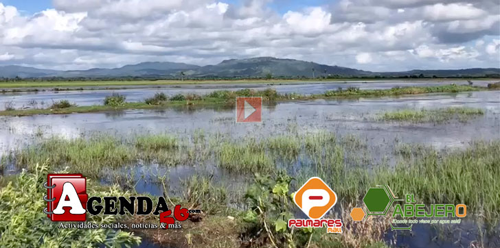 TAREAS-NAGUA