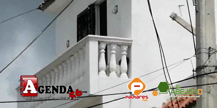 HAITIANO-MUERTO-SAMANA