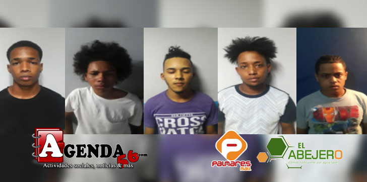 SAN FRANCISCO DE MACORÍS.- La Policía Nacional informó este lunes sobre el apresamiento y posterior sometimiento a la justicia de cinco jóvenes acusados de haber perpetrado un asalto a una ferretería de esta ciudad. Se trata de Oscar Fabiel Morrillo, de 19 años; Antonio Jerez Marte alias Pepo, de 18; Jose Daniel Martinez de 22; Elvis Sefarin de Aza de 31 y Wandy Nicolas Jimenez alias El Shory de 23. El informe policial establece que éstos pertenecen a una banda que se dedica a realizar asaltos en centros comerciales de esta localidad. Según la policía, los dos primeros de los cinco detenidos son señalados como los autores de haber perpetrado el asalto a una ferretería ubicada en la avenida libertad, el día 26 de este mes de diciembre, de donde cargaron con dinero en efectivo. Indica el reporte que Martinez y Jimenez alias El Shory son las personas que se dedican a ubicar los establecimientos para proceder a los asaltos, mientras que De Aza es quien facilita las motocicletas. Por su parte, una sexta persona fue identificada solo como Monki El Herrero, quien habría facilitado las armas de fuego. Según las autoridades policiales, a los dos primeros de los detenidos se les ocupó la cantidad trescientos dólares (US$ 300) y quinientos pesos dominicanos (RD$ 500), así como dos celulares. Los detenidos fueron enviados al Ministerio Público para fines de lugar correspondientes, mientras que Monki El Herrero está siendo activamente buscado por la policia.