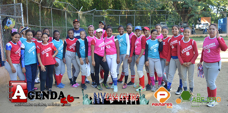 Academia-de-softball