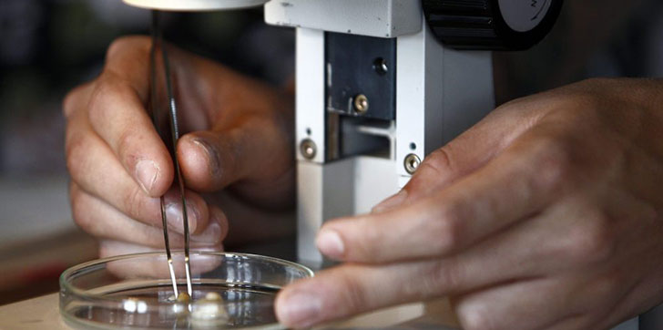 descubren-anticuerpos