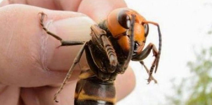 preocupacion-en-ee-uu