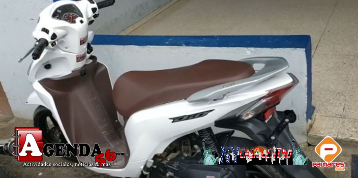 recuperan-pasola-robada