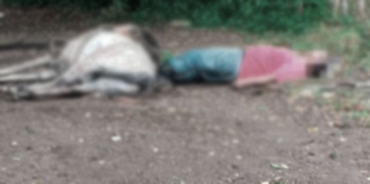 Descarga-electica-mata-hombre-y-su-caballo