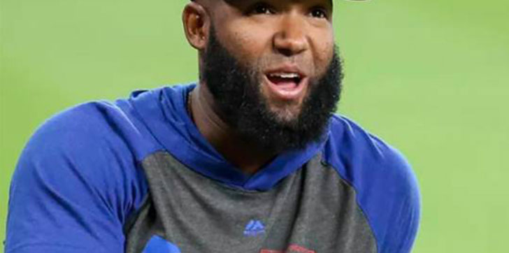 santana-quiere-el-jardin