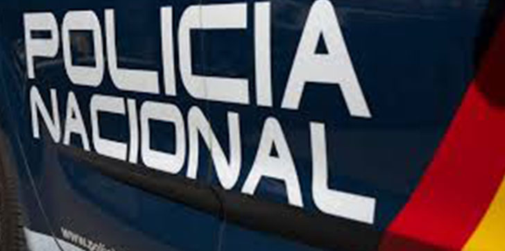 diez-detenidos-por-una-presunta